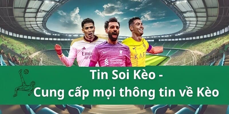 Cập nhật tin tức, dữ liệu soi kèo liên tục